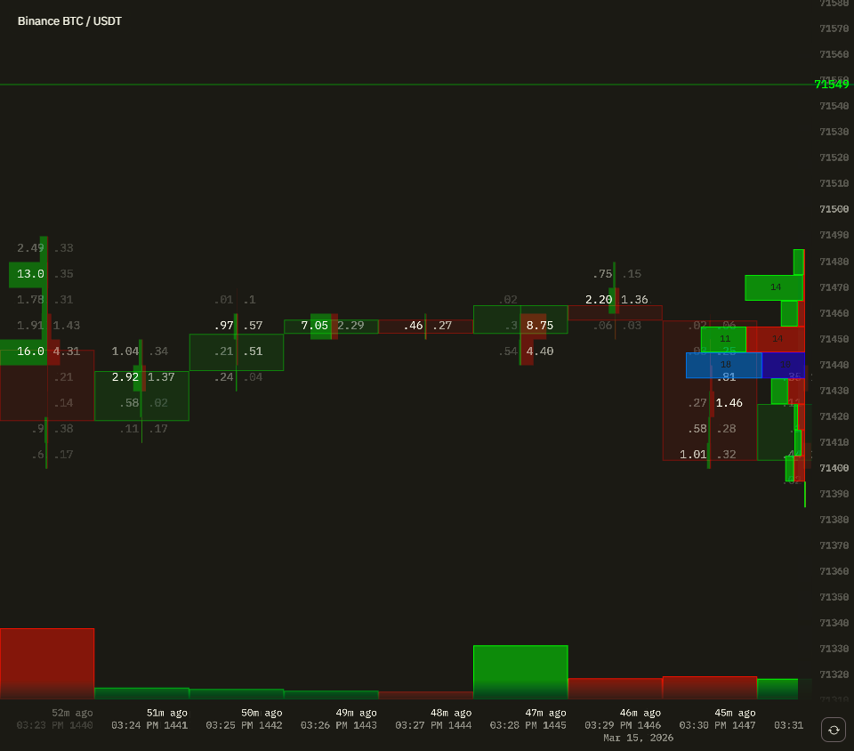 Footprint chart showing bid/ask volumes and delta at each price level